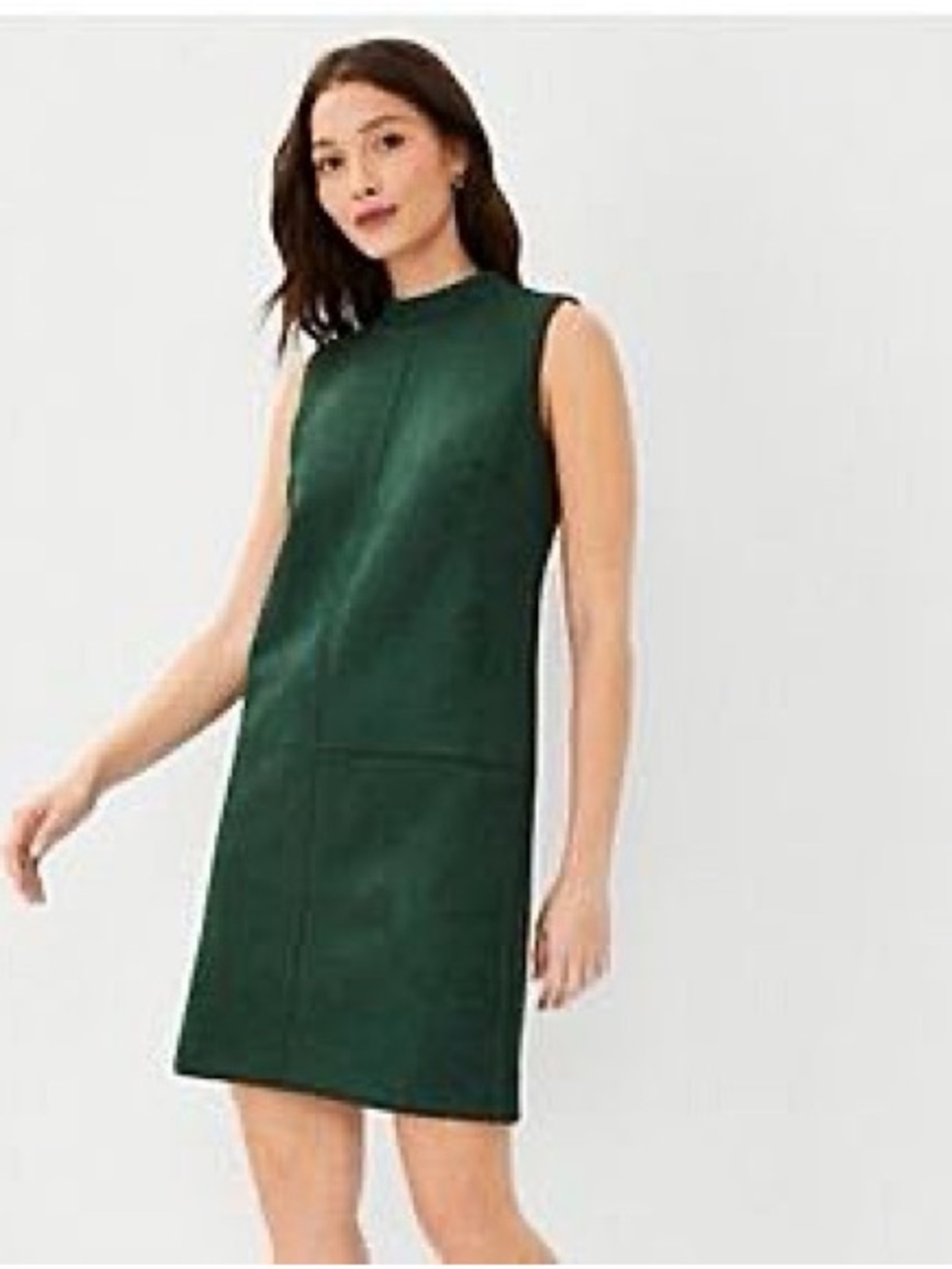 Ann Taylor Faux Suede Dress